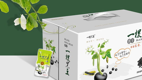 即食豆干包裝設計 廣州專業公司的創新與實踐